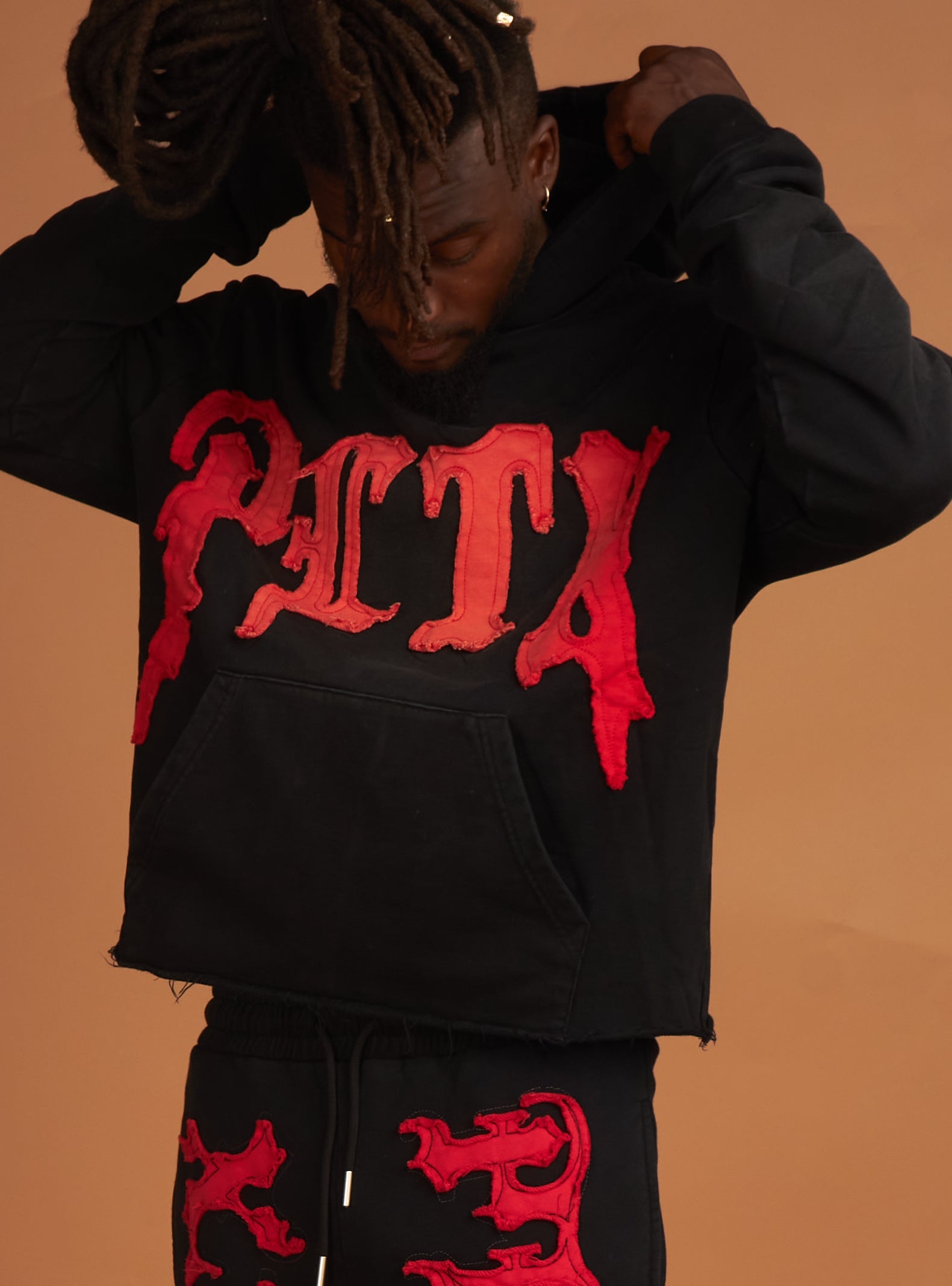 Politics Hoodie - Hale - Black and Red - 300